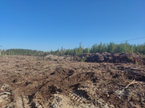 сентябрь (1)