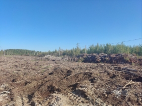 сентябрь (2)